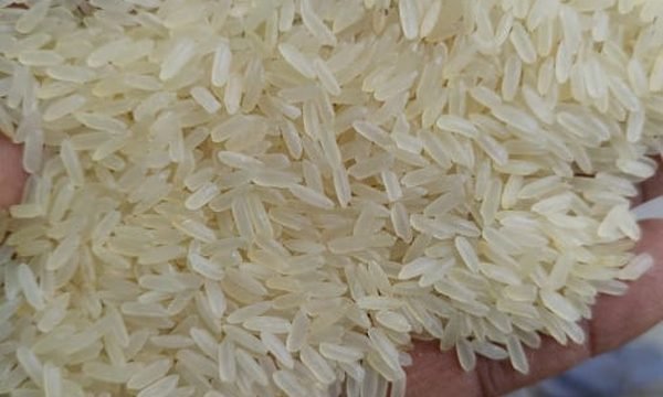 Adinath Boiled parboiled rice grains