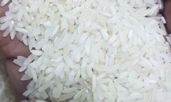 Freshly milled Adinath white rice grains
